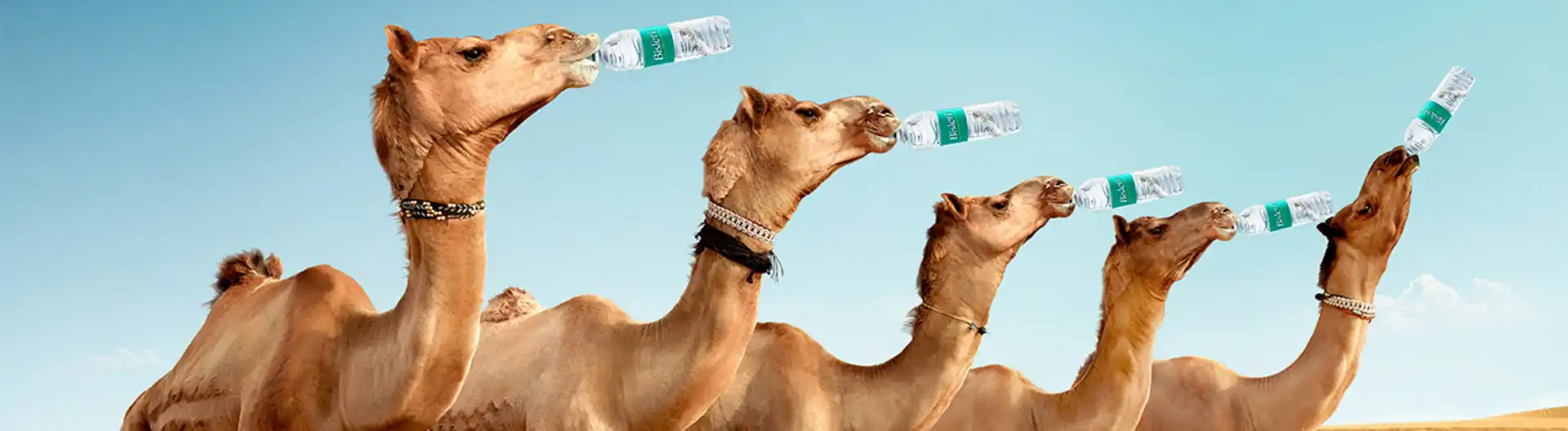 memes-banner